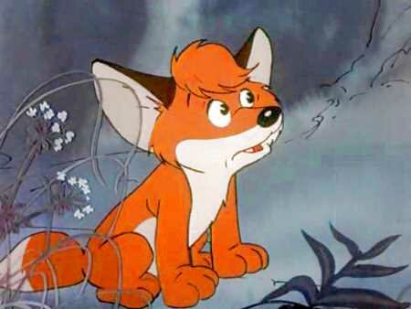 Лисенок Вук